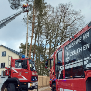 Freiwillige Feuerwehr Löschzug Zeuthen - Einsatz Baumkrone
